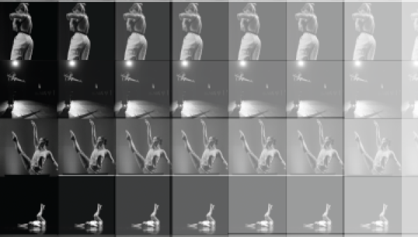 Freespace Dance 20 Year Celebration at Vanguard Theater Company, Montclair