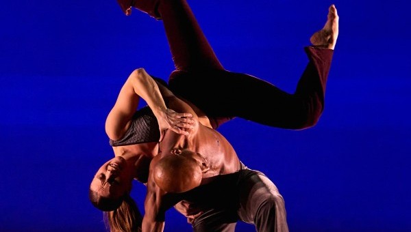 Sips and Stories: Dance, Dialogue and...