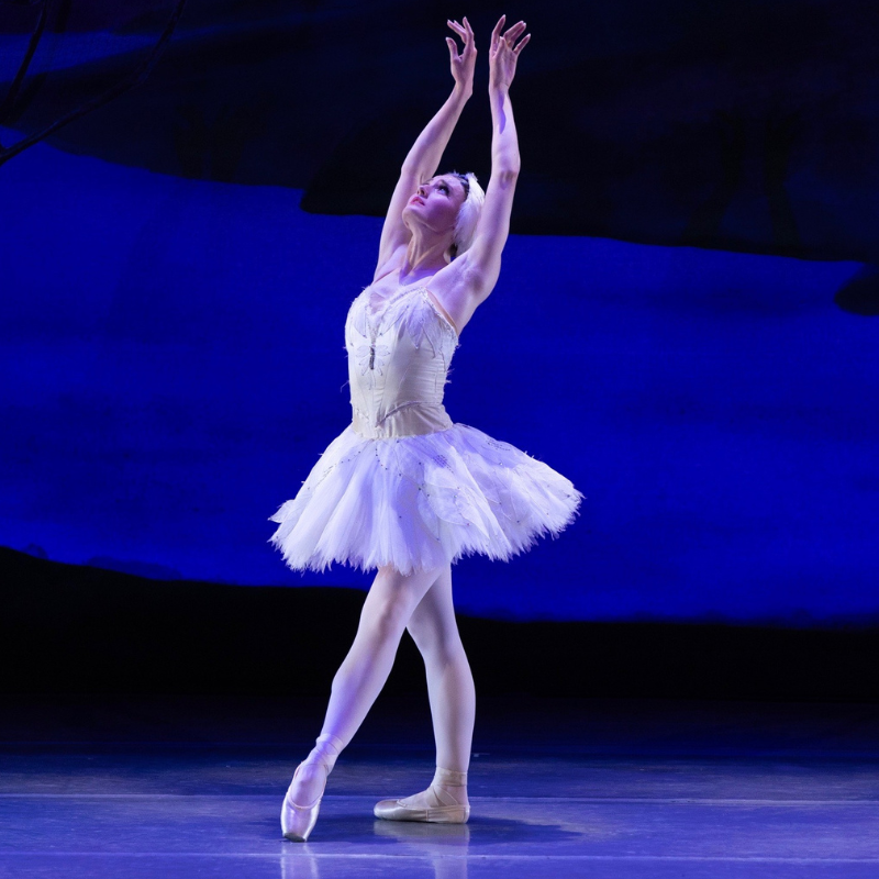 American Repertory Ballet presents SWAN LAKE