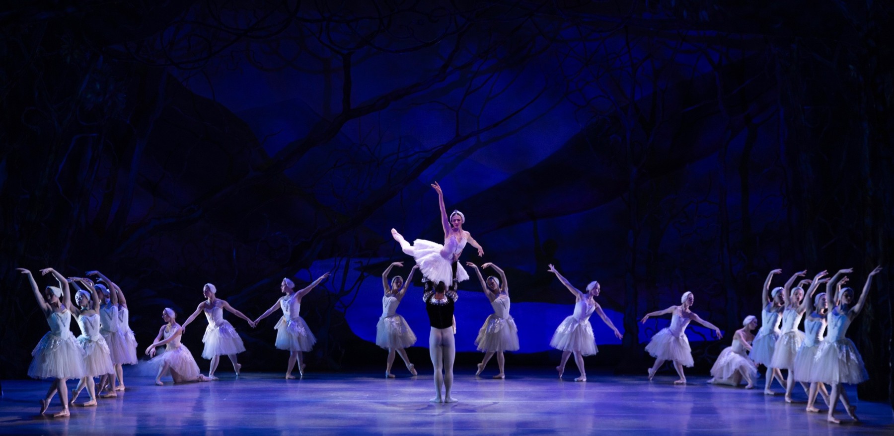 Beyond the Wings at Swan Lake