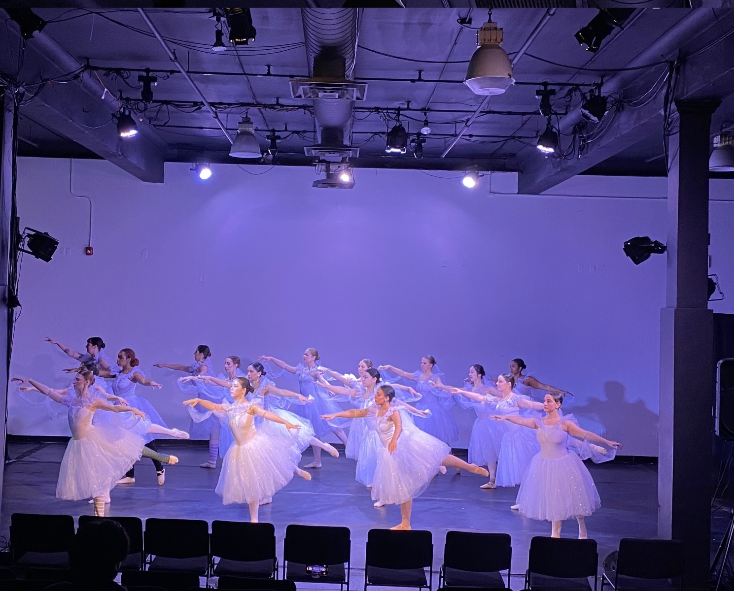 The Sleeping Beauty Adult Performance Workshop 2026