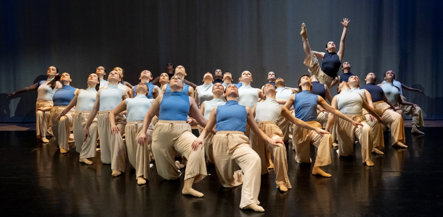 Extensions Dance Project 2026-2027 Season Full Company & Performing Company Auditions